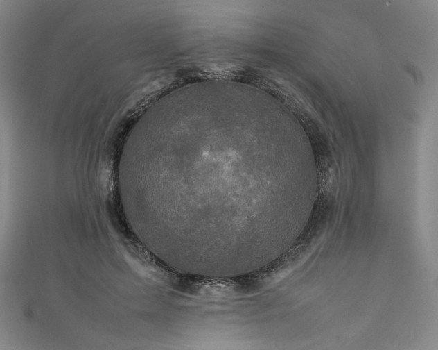 X0000111840599200907231409