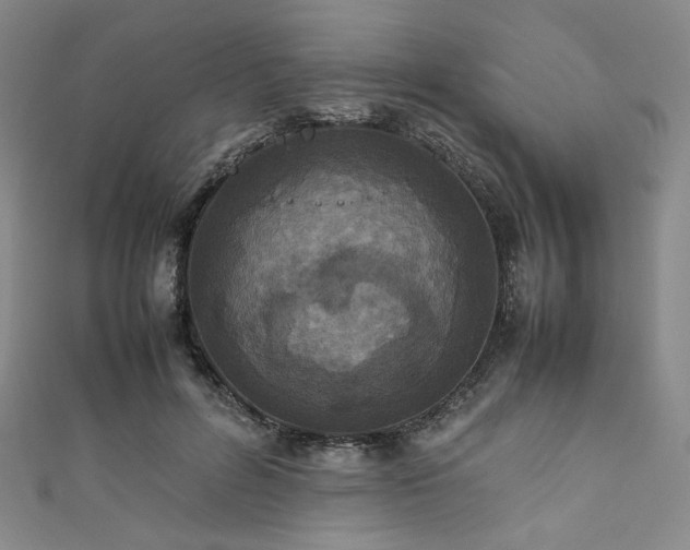 X0000111840600200907231409