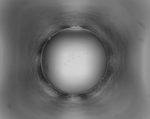 X0000111840601200907231409