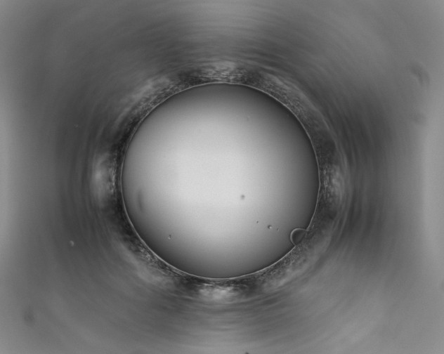 X0000111840602200907231409