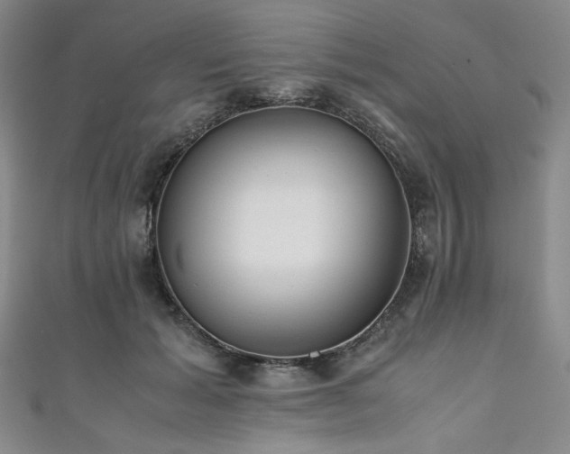 X0000111840605200907231409