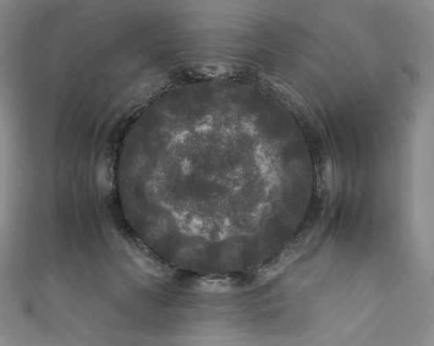 X0000111840606200907231409