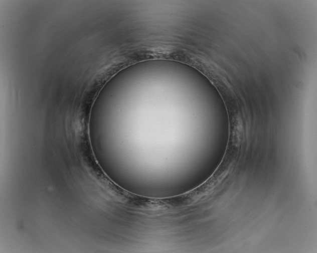 X0000111840608200907231409