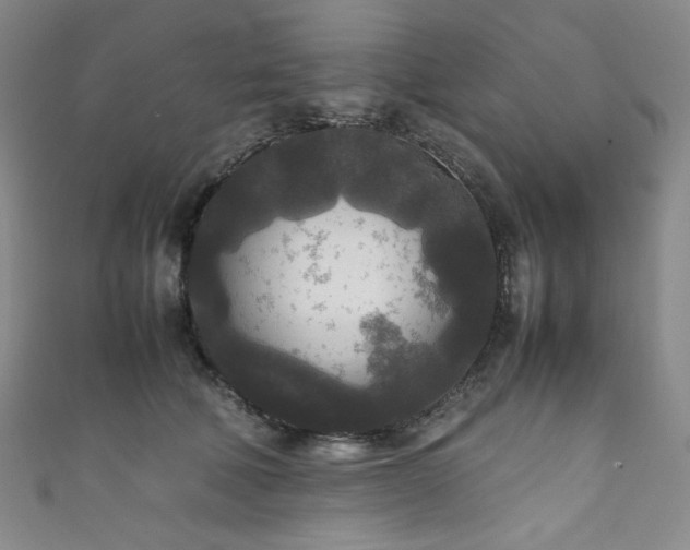 X0000111840610200907231409