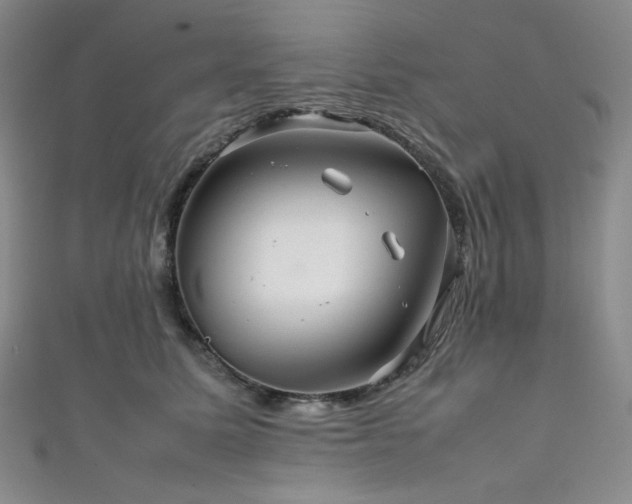 X0000111840611200907231409