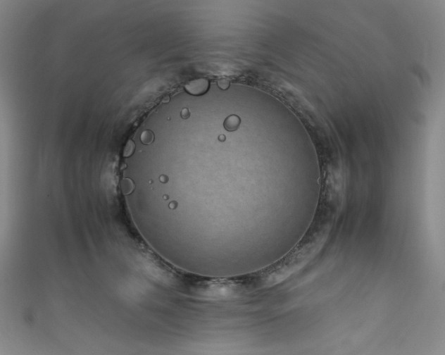 X0000111840612200907231409