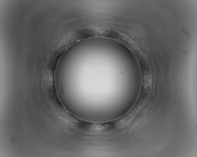 X0000111840613200907231409