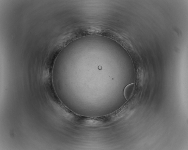 X0000111840614200907231409