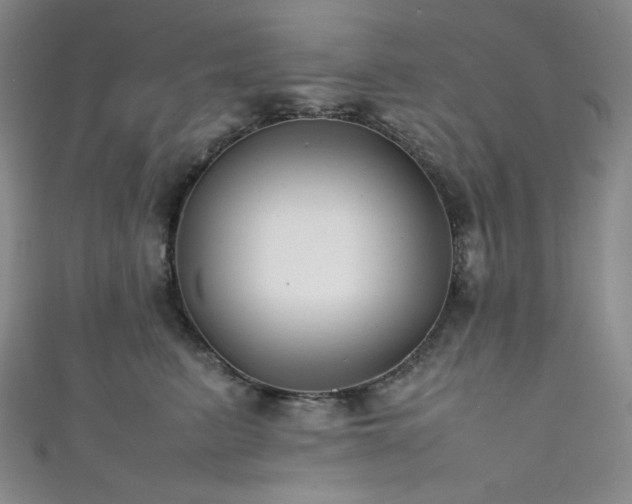 X0000111840615200907231409