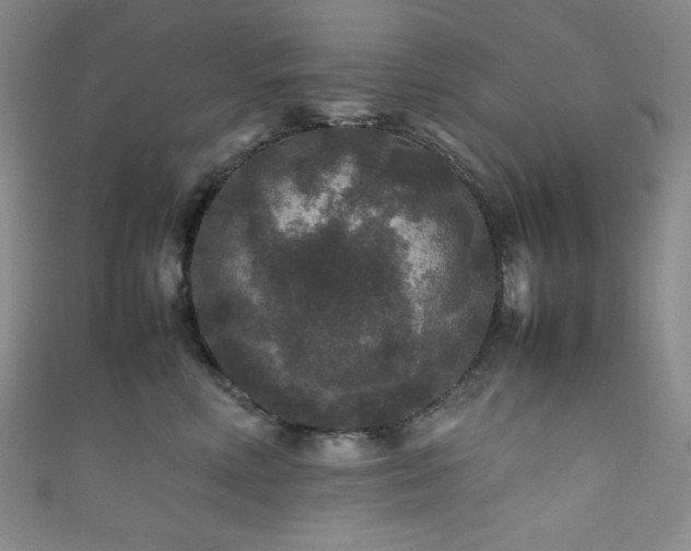 X0000111840618200907231409