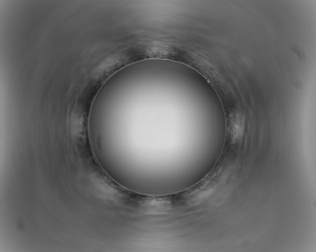 X0000111840619200907231409