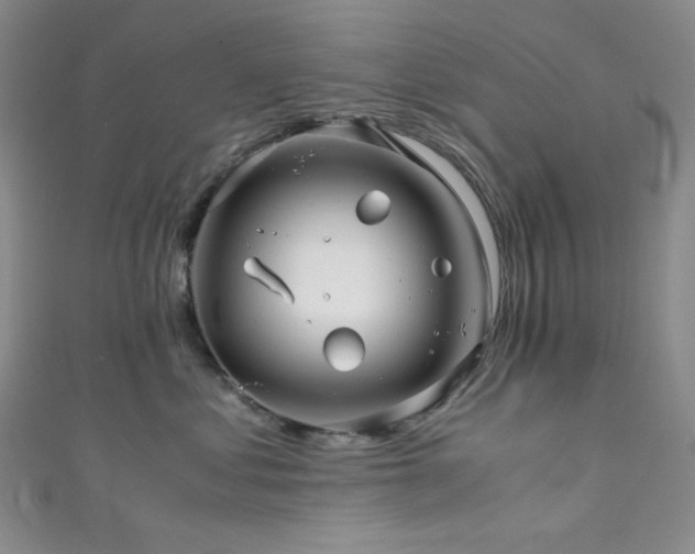 X0000111840621200907231409