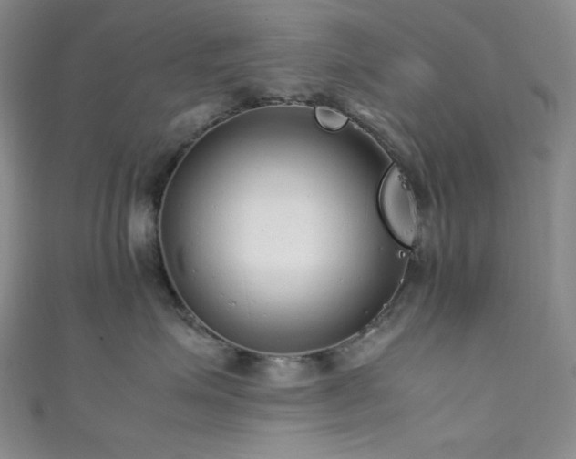 X0000111840623200907231409