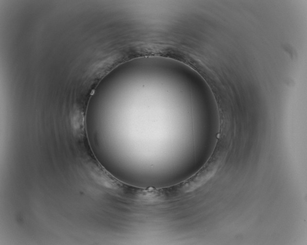 X0000111840624200907231409