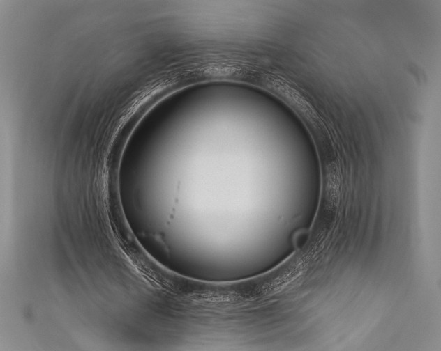 X0000111840626200907231409