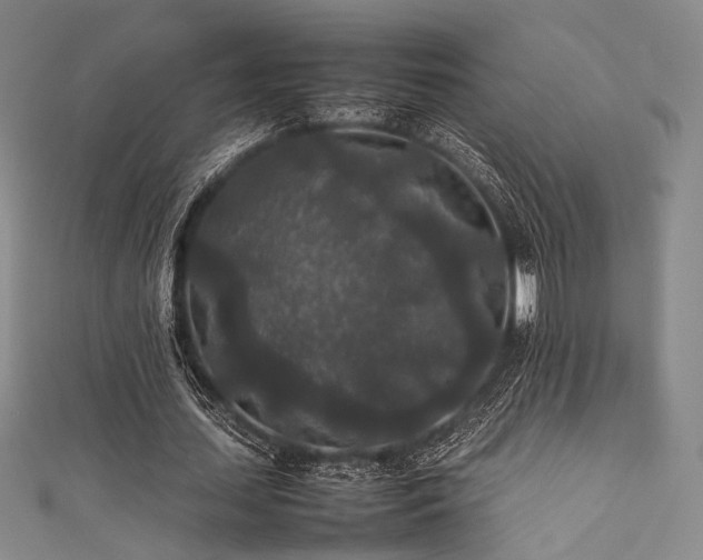 X0000111840627200907231409