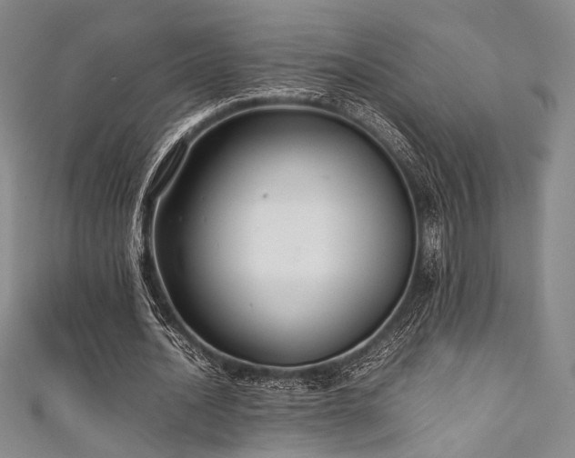 X0000111840628200907231409