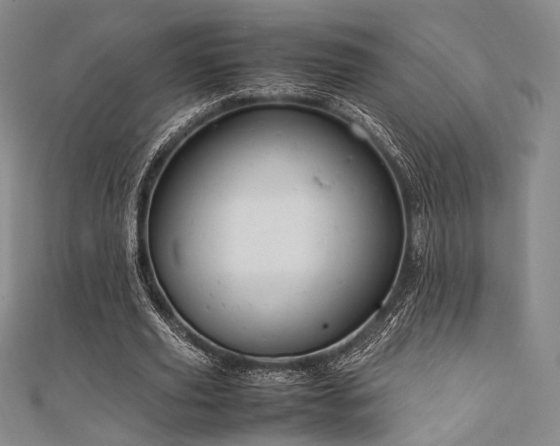 X0000111840629200907231409