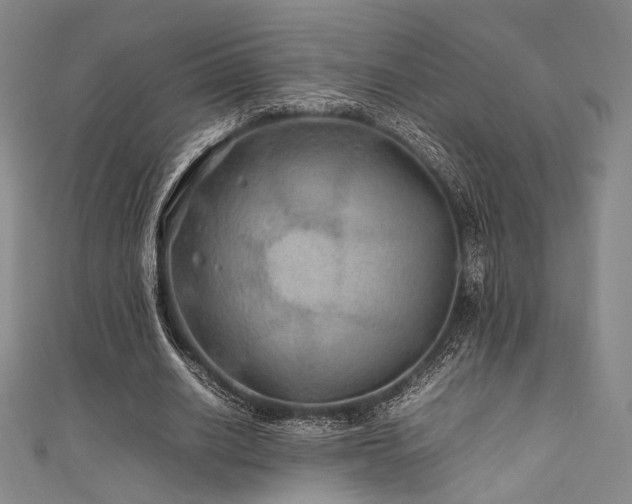 X0000111840630200907231409