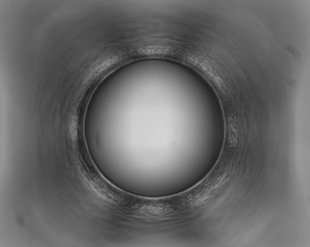 X0000111840631200907231409