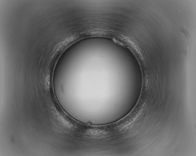 X0000111840633200907231409