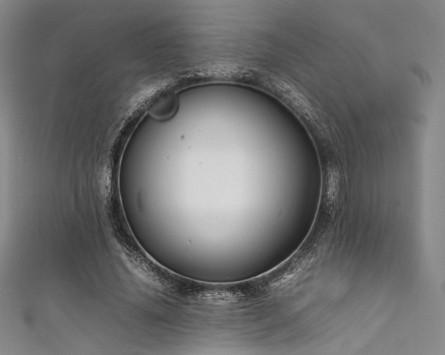 X0000111840636200907231409