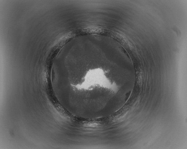 X0000111840643200907231409