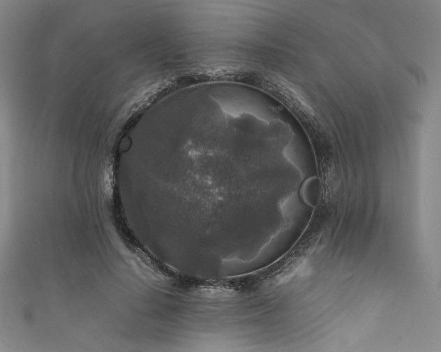 X0000111840644200907231409