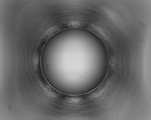 X0000111840645200907231409