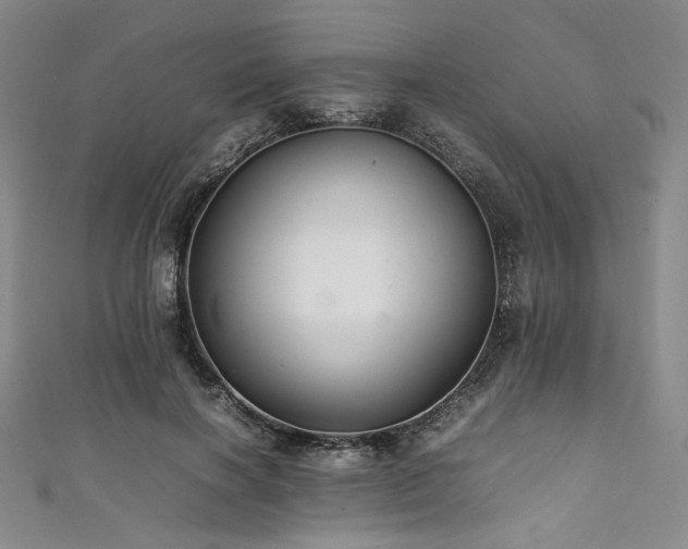 X0000111840646200907231409