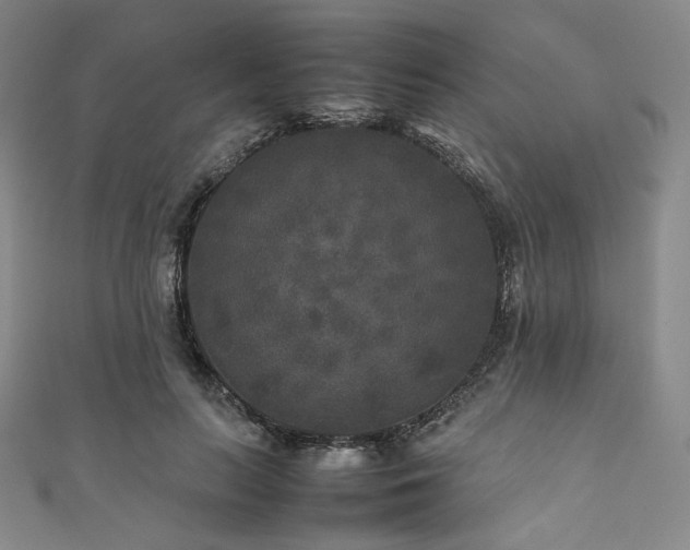 X0000111840647200907231409