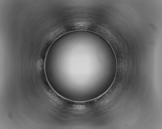 X0000111840649200907231409