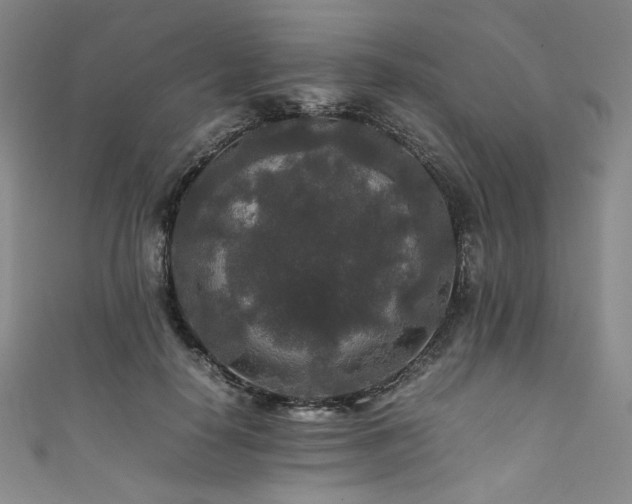 X0000111840650200907231409