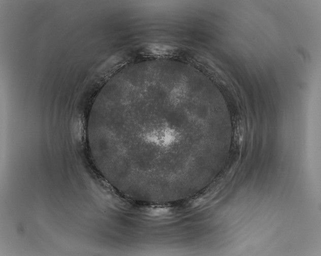 X0000111840651200907231409