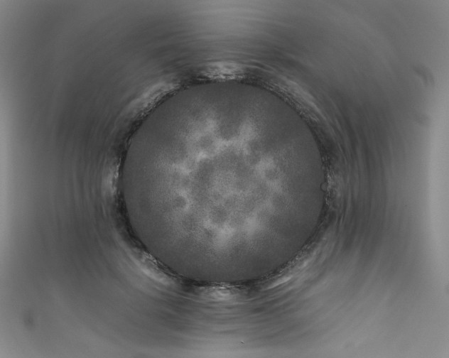 X0000111840652200907231409