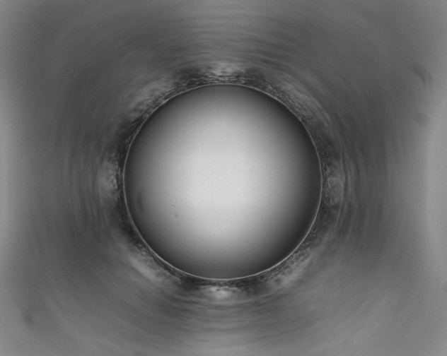 X0000111840654200907231409