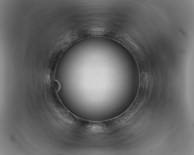 X0000111840655200907231409