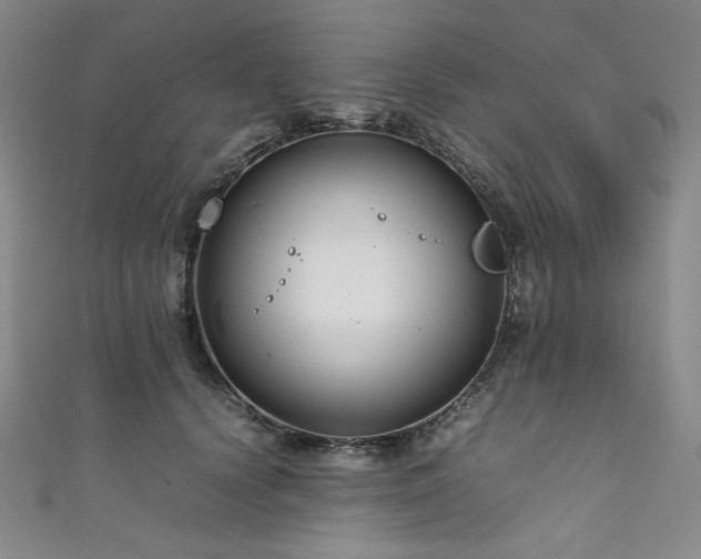 X0000111840656200907231409