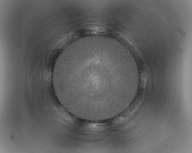 X0000111840657200907231409