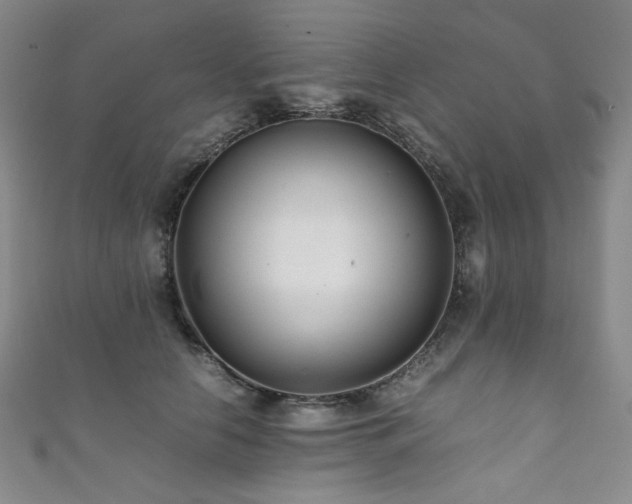 X0000111840658200907231409