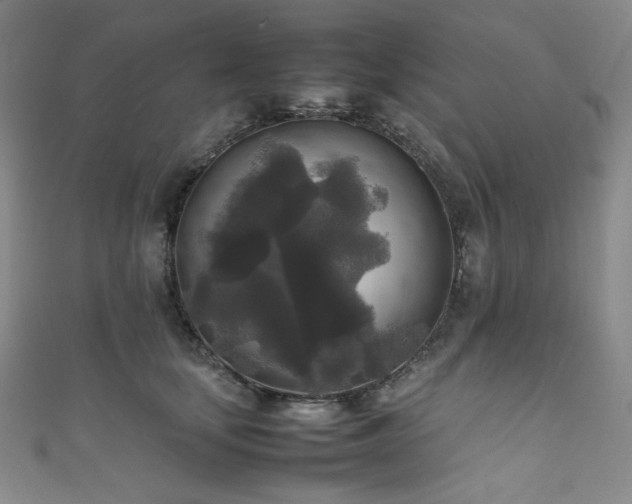 X0000111840659200907231409