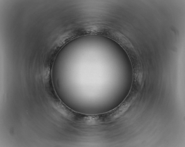 X0000111840660200907231409