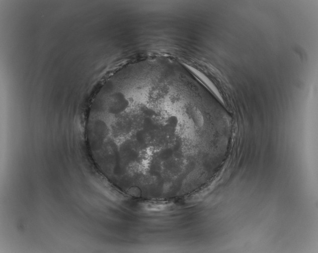 X0000111840661200907231409