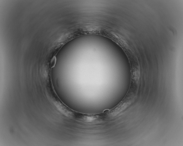 X0000111840662200907231409