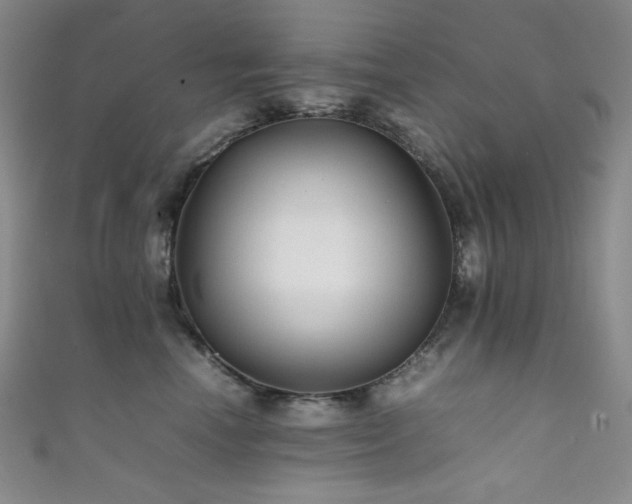 X0000111840666200907231409