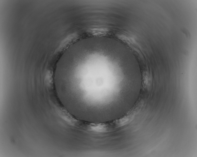 X0000111840667200907231409