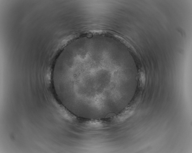 X0000111840668200907231409