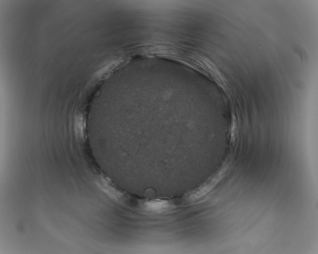 X0000111840669200907231409