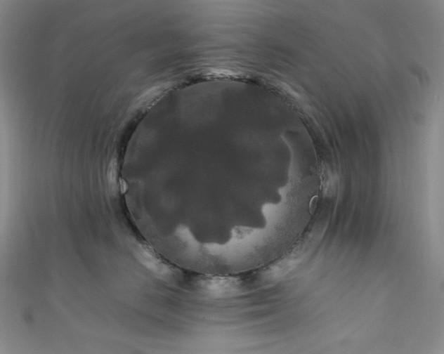 X0000111840670200907231409