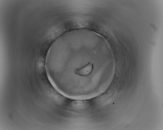 X0000111840672200907231409